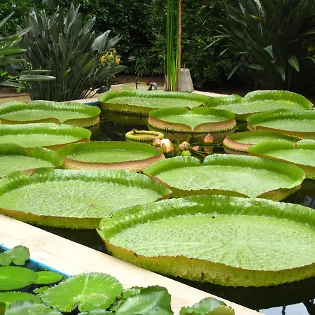 Apartament La Formica *