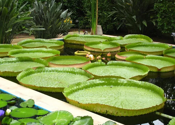 Lejlighed La Formica *